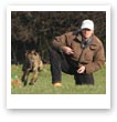 Lurcher Dog Training